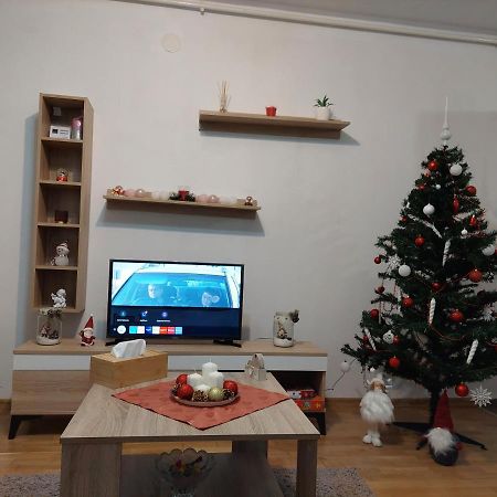 סיגישוארה Apartament Ambrus מראה חיצוני תמונה