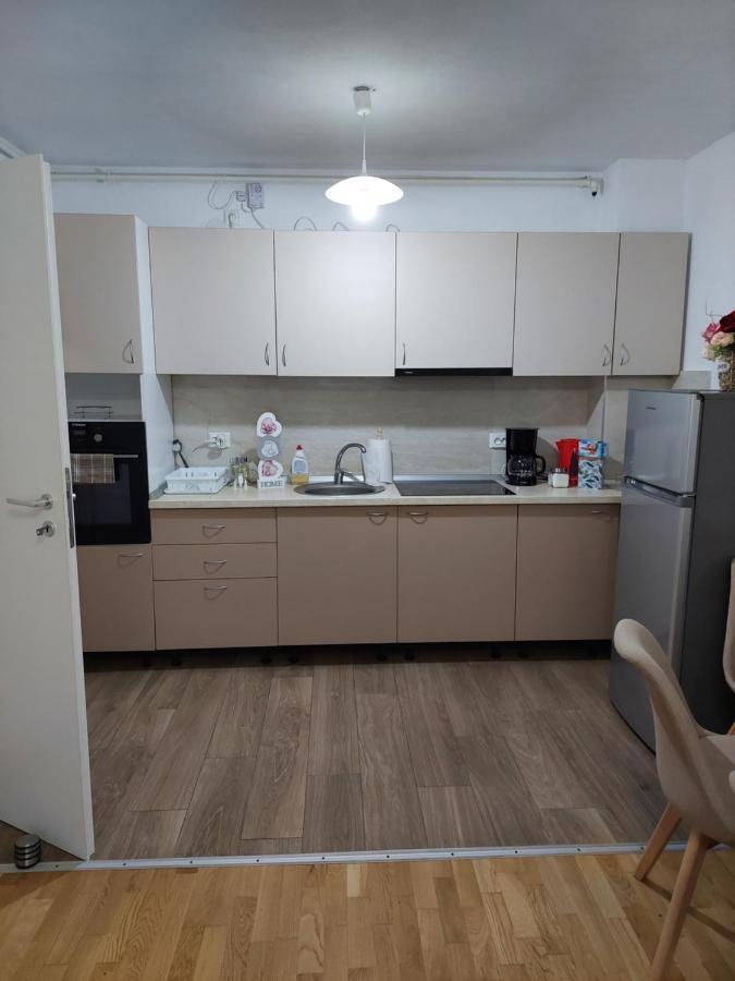 סיגישוארה Apartament Ambrus מראה חיצוני תמונה