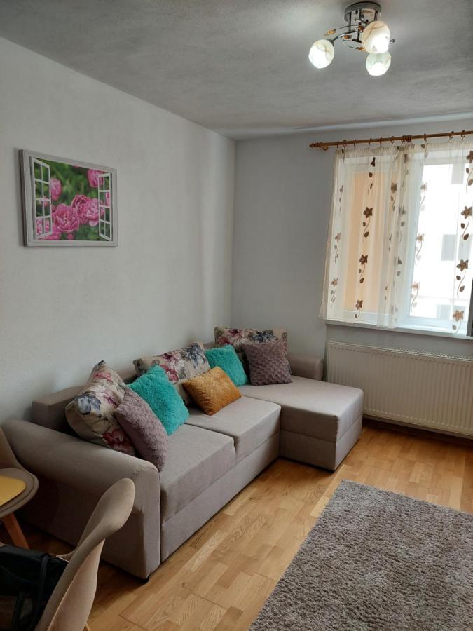 סיגישוארה Apartament Ambrus מראה חיצוני תמונה