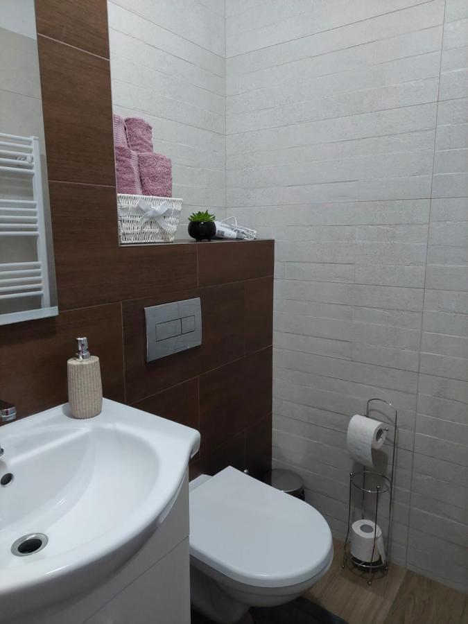 סיגישוארה Apartament Ambrus מראה חיצוני תמונה