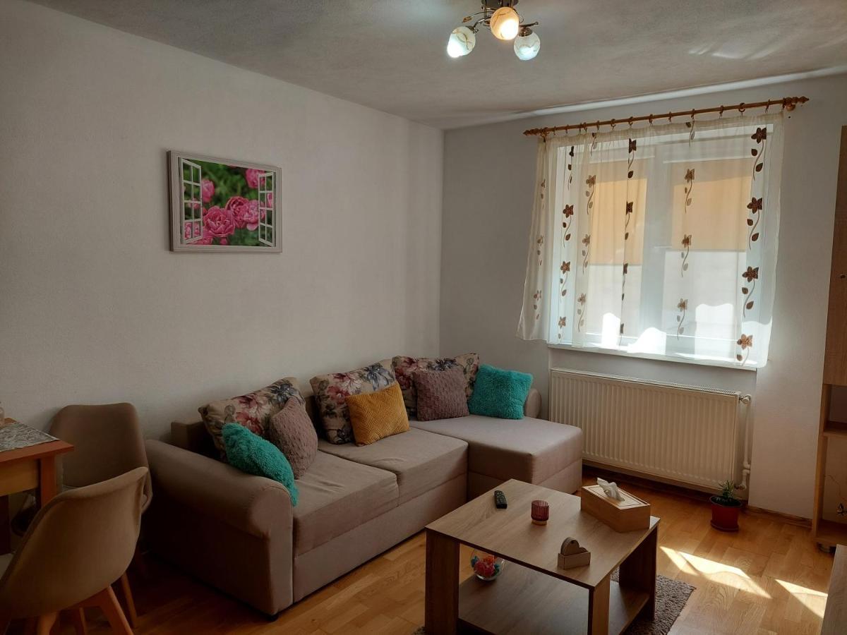 סיגישוארה Apartament Ambrus מראה חיצוני תמונה