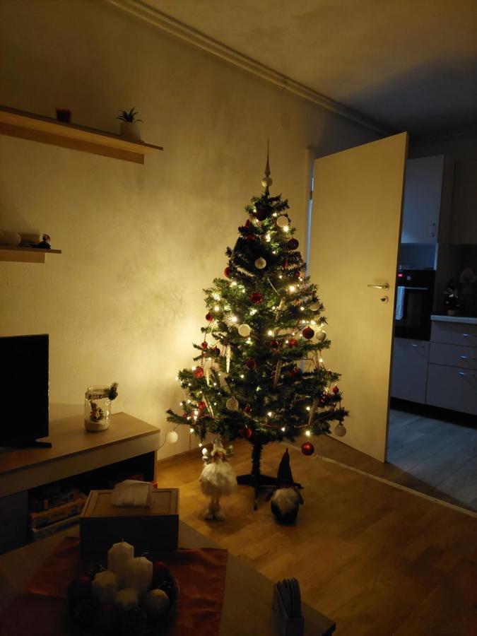 סיגישוארה Apartament Ambrus מראה חיצוני תמונה